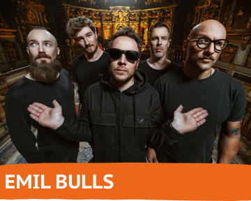 03_EMIL_BULLS